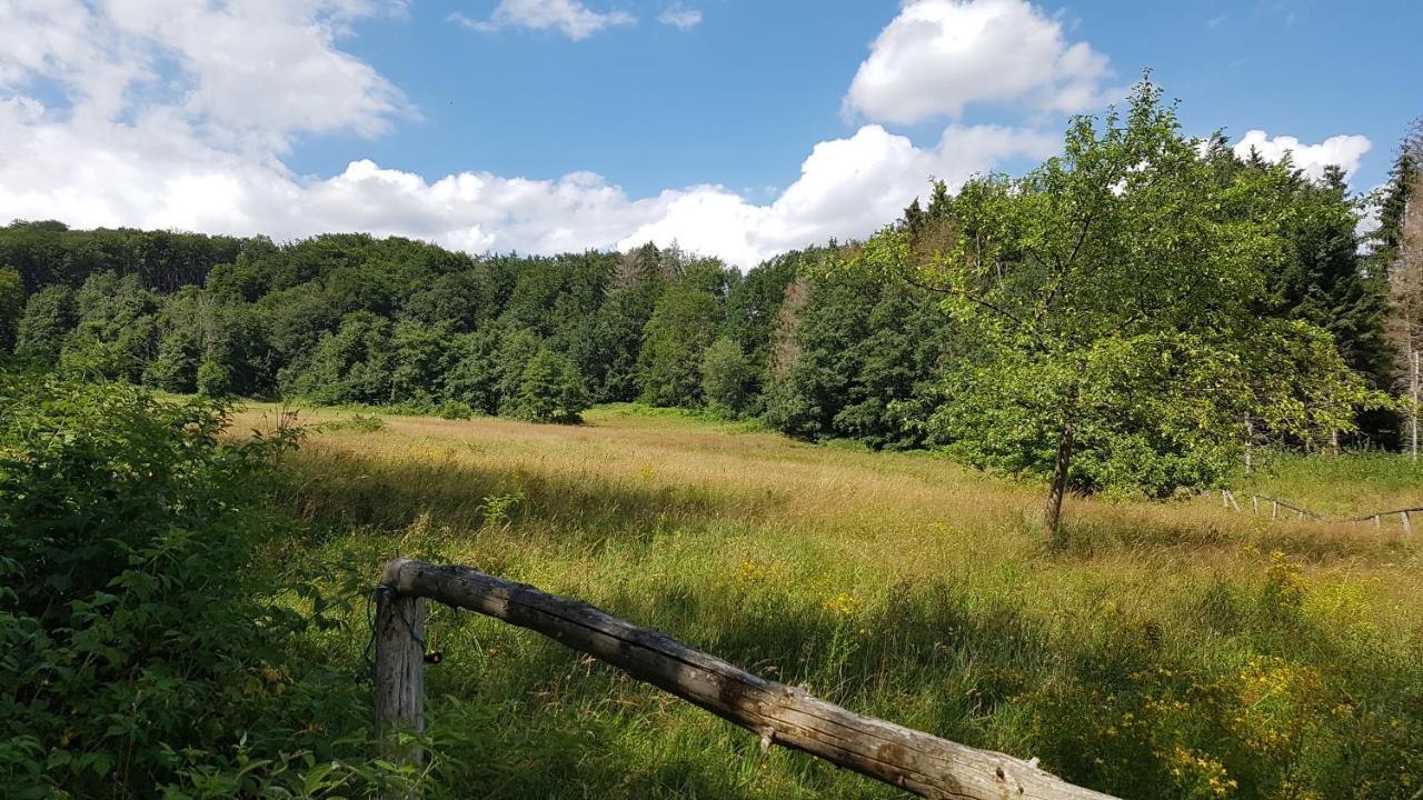 Schoener Weitblick Bad Sachsa Dış mekan fotoğraf