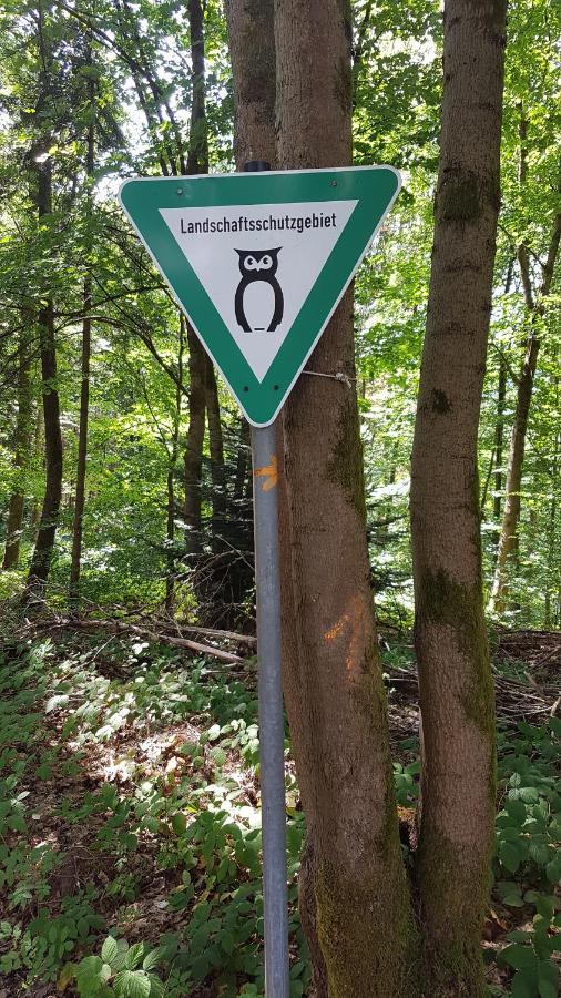 Schoener Weitblick Bad Sachsa Dış mekan fotoğraf