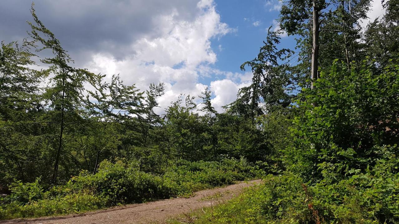 Schoener Weitblick Bad Sachsa Dış mekan fotoğraf